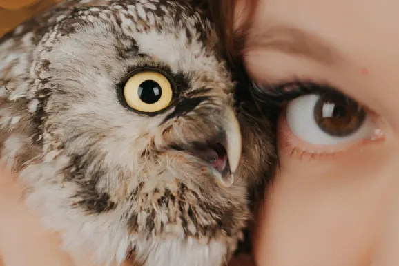 Betitall Casino Soporte